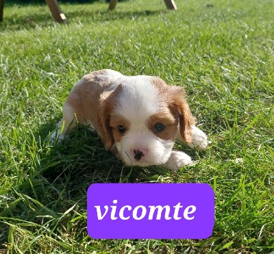 VICOMTE